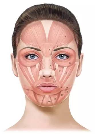 眼部有皱纹怎么办最好,眼部皱纹都有哪些