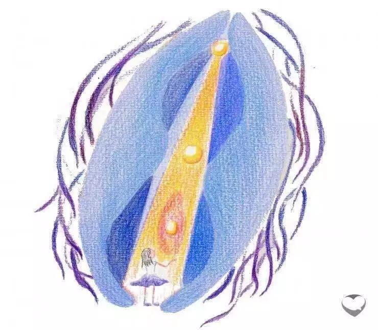 再造处女：处女膜修复术的是与非