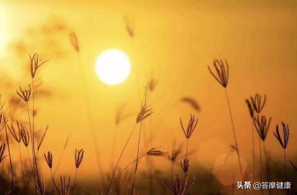 道真的特色有哪些,道真值不值得去