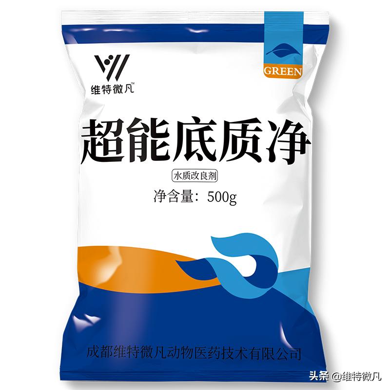 池塘传出阵阵的恶臭，鱼出现各种病症，要怎么解决？