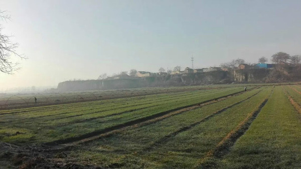 驾照考试趣事,我考驾照的辛酸历程