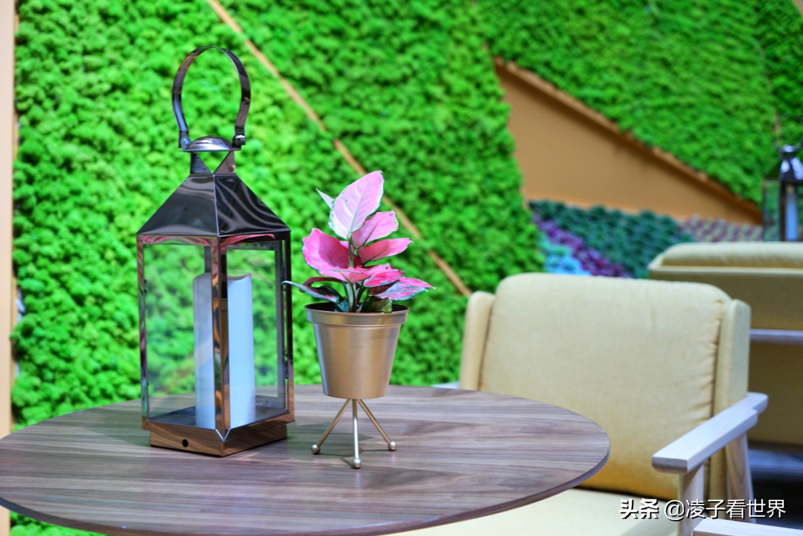 西单这家餐厅你不来就亏了，园庭这环境这菜品绝了