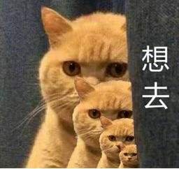 让你心跳加速的时刻,让你心跳加速的五大瞬间