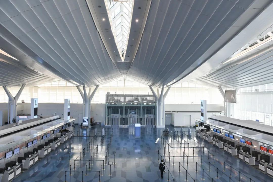 纽约时报视频大全,纽约时报最新头版震撼