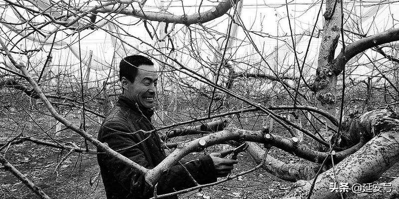 2019延安日报读本|裤角沾满泥土心中装着群众打出红红火火的好光景