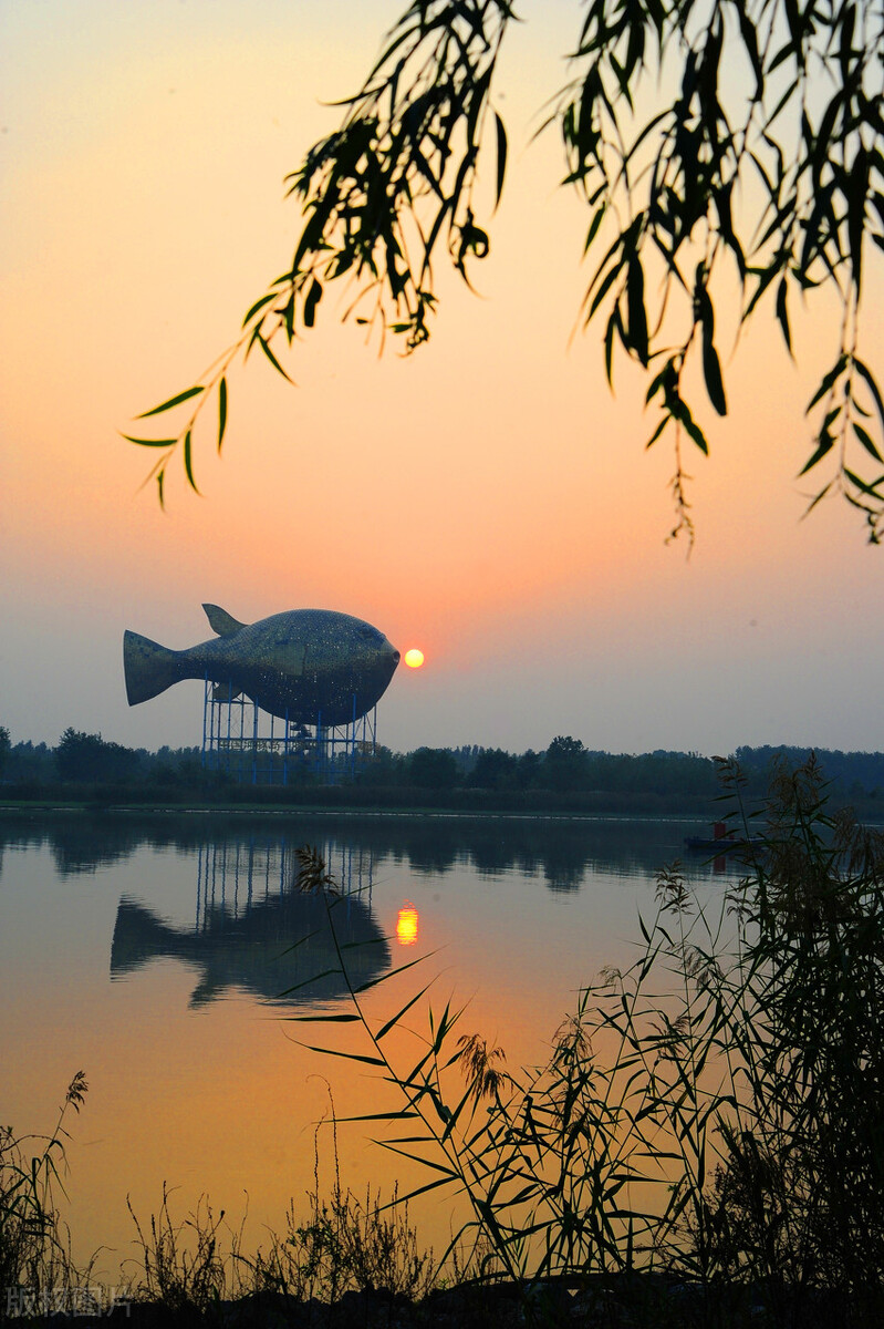 苏大强江苏人,苏大强江苏有多强