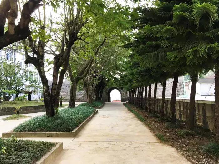 厉史文化璀璨的景东一中