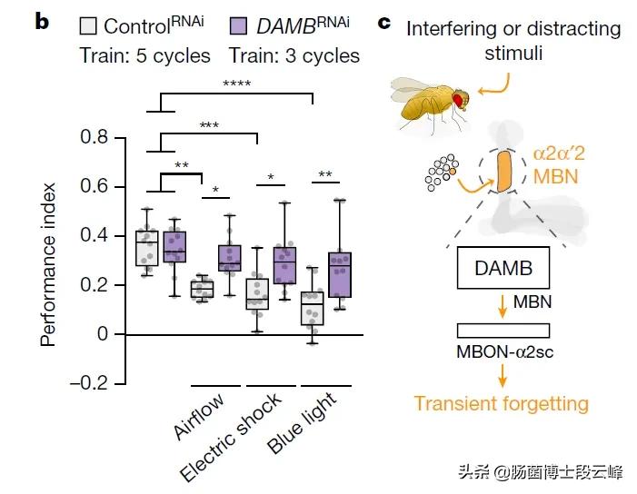 恋爱中的人智商真的会降落吗,恋爱时智商降落