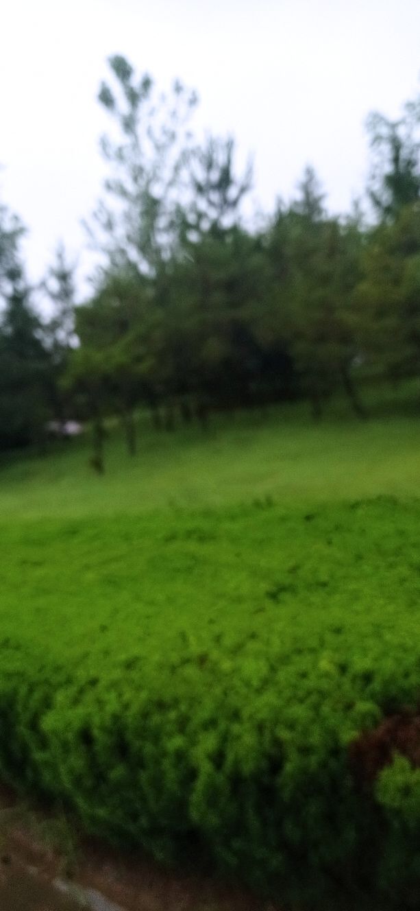 医学小常识一一胸痛咋会事？