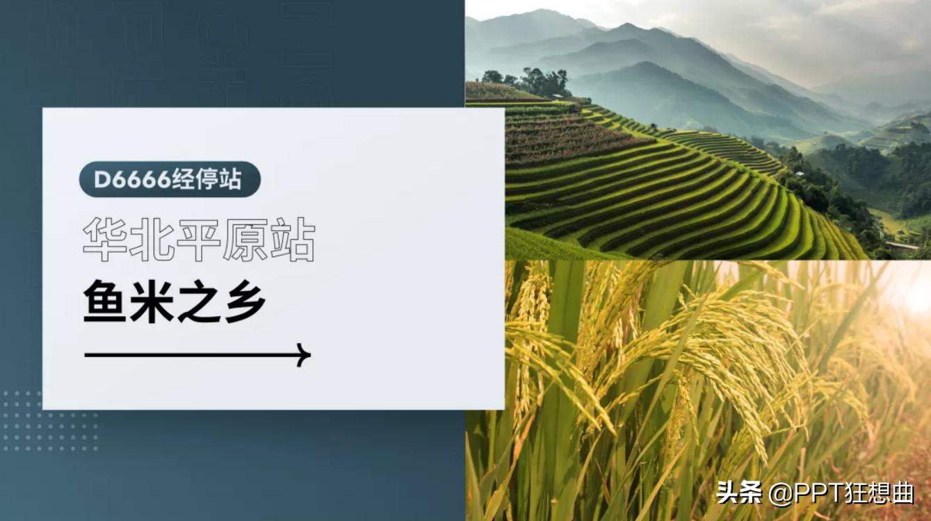 ppt版本不同导致排版错乱怎么解决,ppt排版教你一招出奇制胜