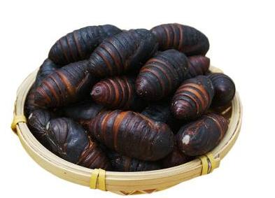 虫子四世同堂一次配齐