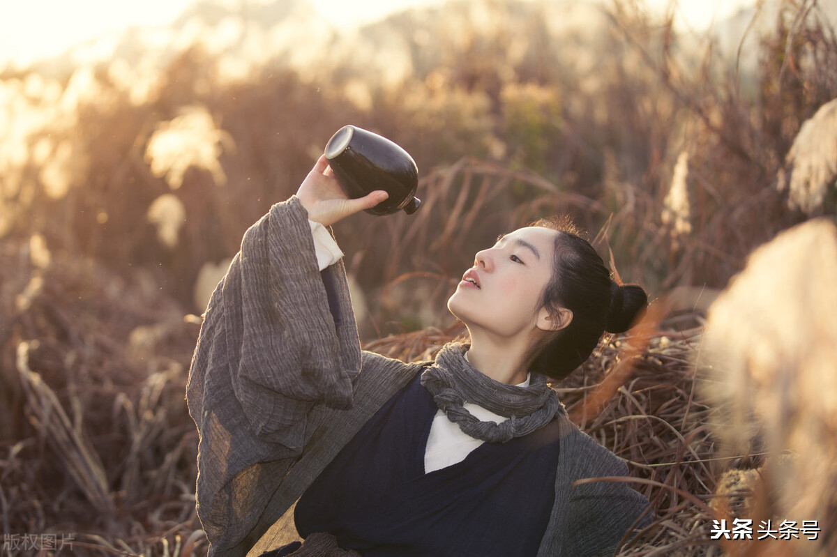 多情剑客无情剑不够之处,多情剑客无情剑无可奈何