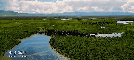 祖国腹地的一柄玉如意　甘肃如此多娇