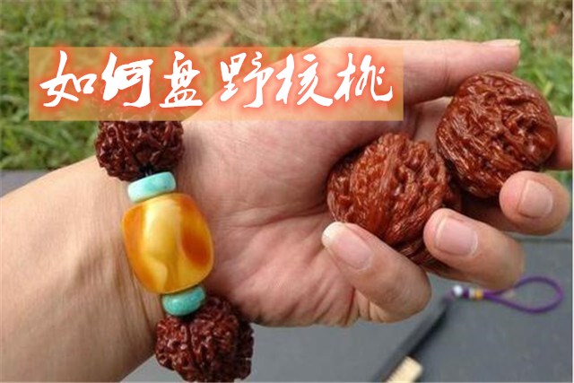 閲庢牳妗冪洏濂界殑鏍峰瓙,娉ㄦ剰鍥涚偣缁嗚妭