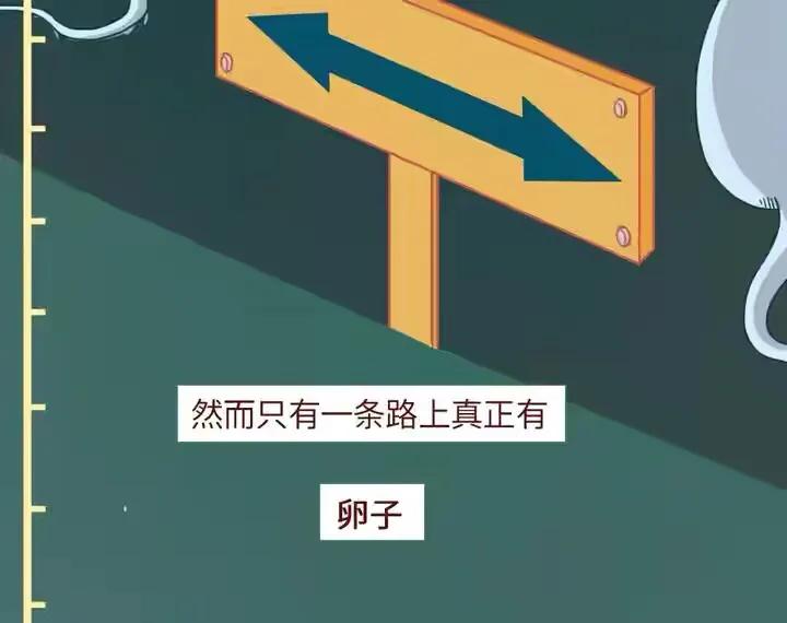 绮惧瓙杩涘叆浜轰綋1灏忔椂鍙樺寲,绮惧瓙杩涘叆浜轰綋48灏忔椂鍙樺寲