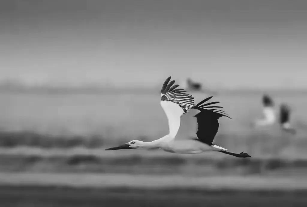 我被财神撞了一下腰男声完整版,我被撞了一下腰纯音乐