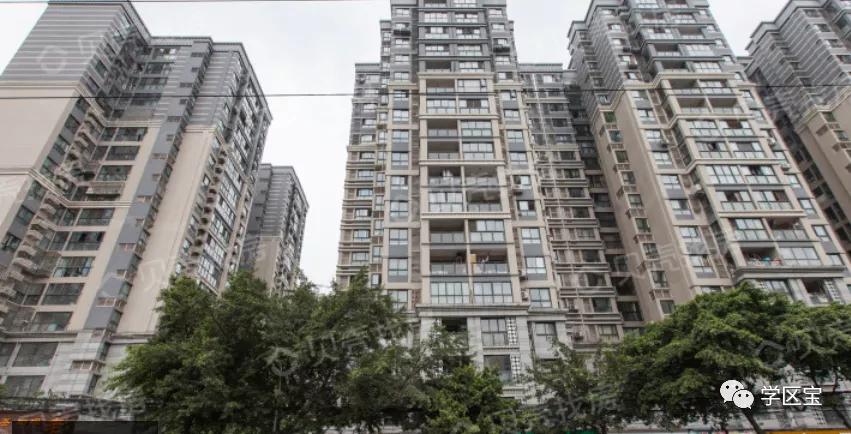 成都泡桐树小学哪个校区最好,泡桐树小学和成都实验小学