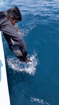 加机油的正确方法和技巧,途观加机油的正确方法