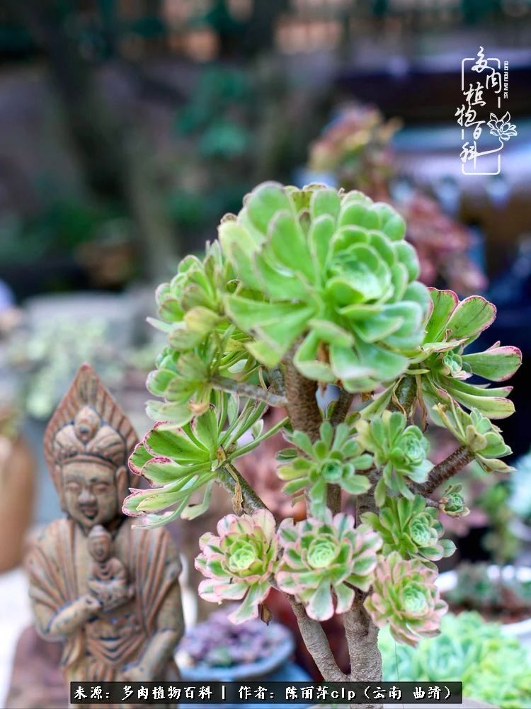 佛系看风景的地方,佛系风景空境视频