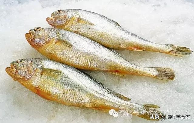 常见的海鲜哪些好吃,比较有营养价值的海鲜