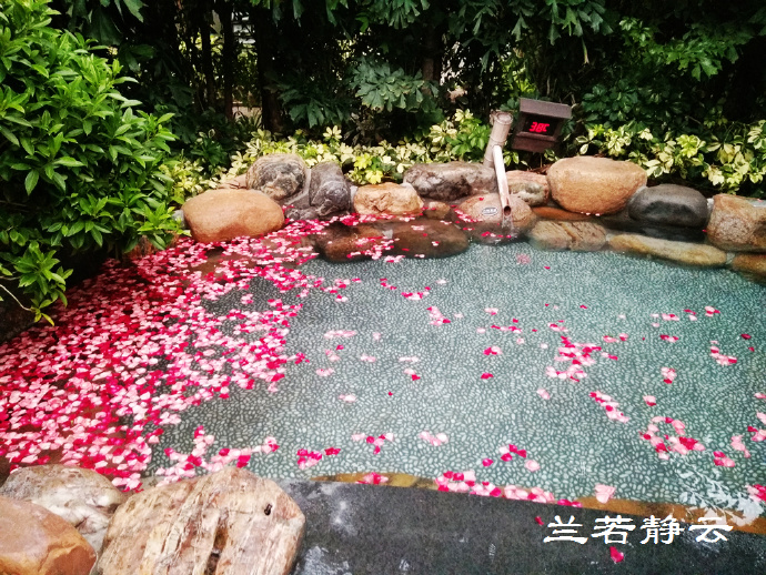 厦门日月谷温泉酒店预订价格,厦门日月谷温泉酒店套餐