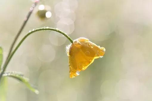 一个人生气了最能看出他的人品,了解一个人要看他生气时候的样子