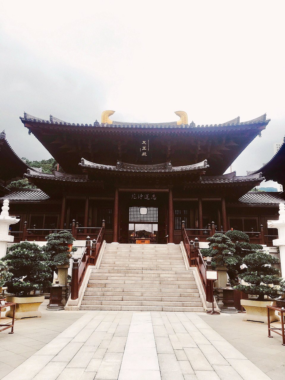 香港志莲净苑地图,香港志莲净苑好玩吗