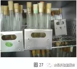 微生物的选择培养接种方法,微生物选择培养的对照处理方法