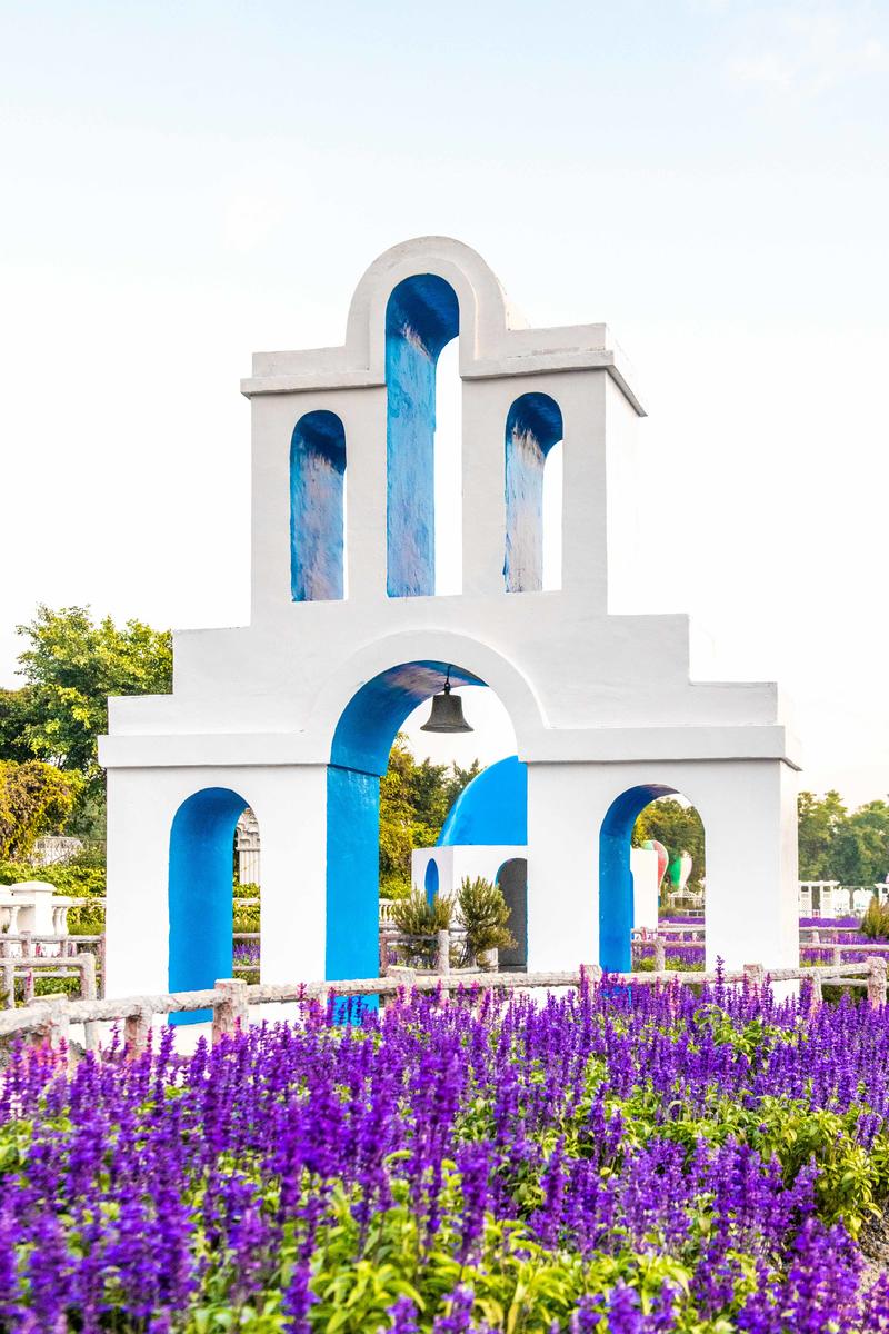 你知道广州有个百万葵园吗？四季都繁花似锦，风景让人流连忘返