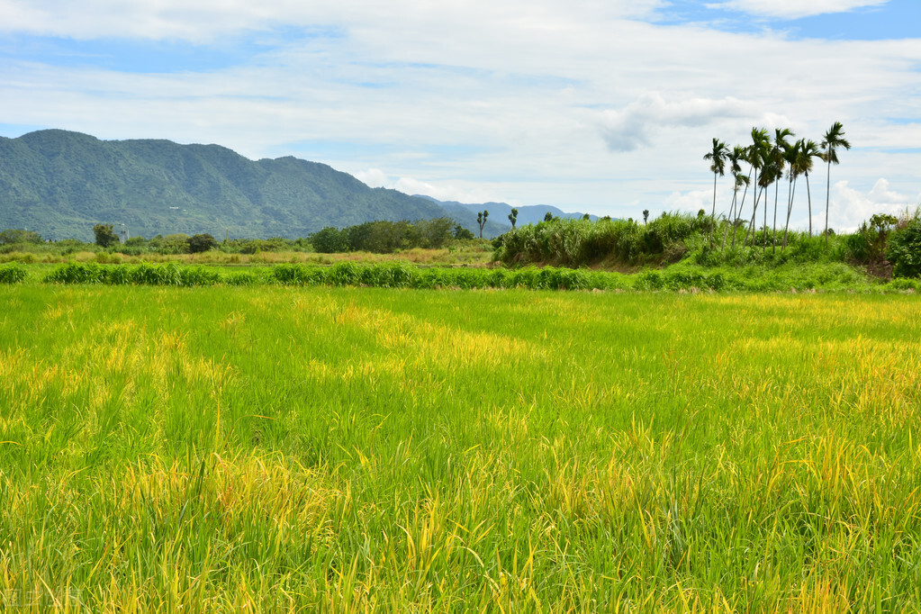 乡愁宝岛台湾,乡土地理广东