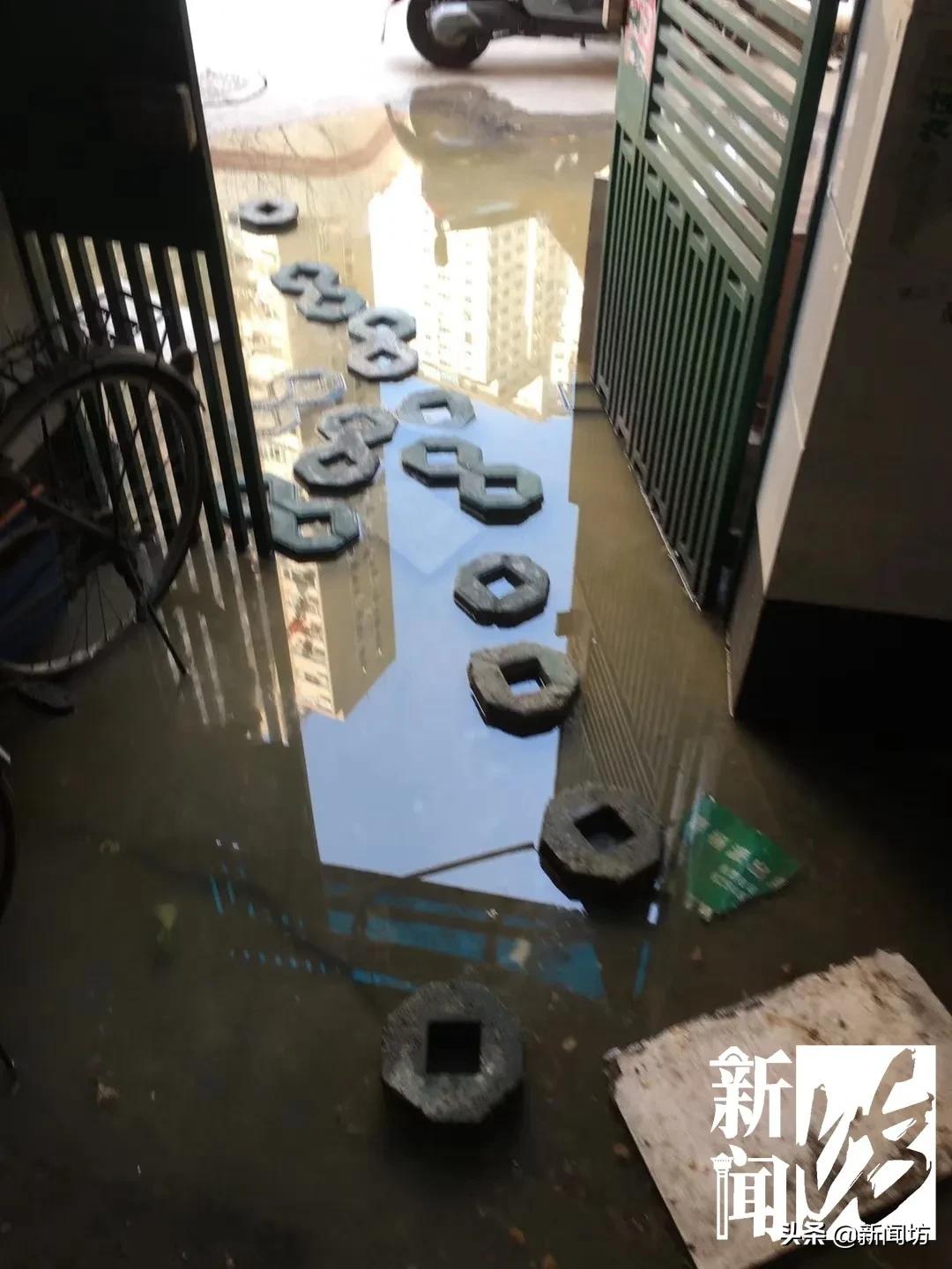 练水上漂，踏“梅花桩”，上海一小区居民出个门太难了