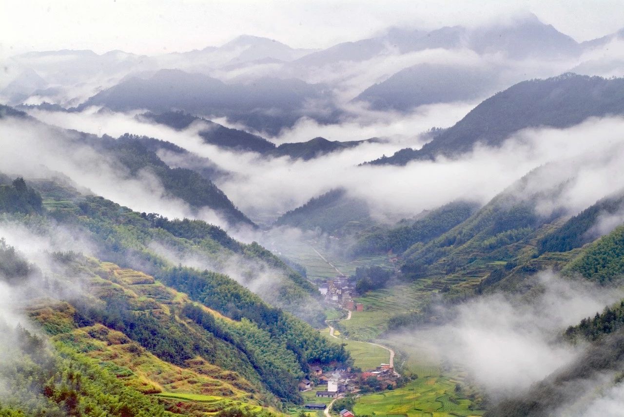 遂昌最漂亮的山路,遂昌最深的景点