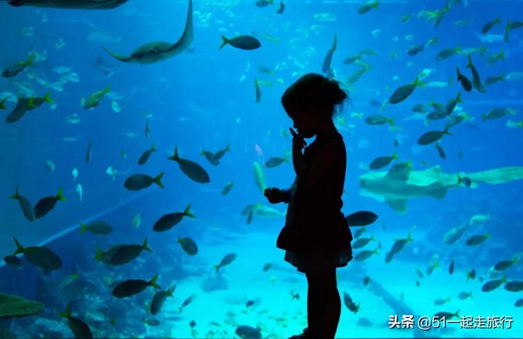 新加坡狮城圣淘沙,新加坡圣淘沙岛怎么去的