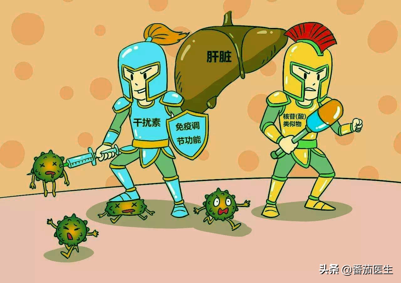 感染乙肝病毒就是有肝炎吗,慢乙肝怎样调理