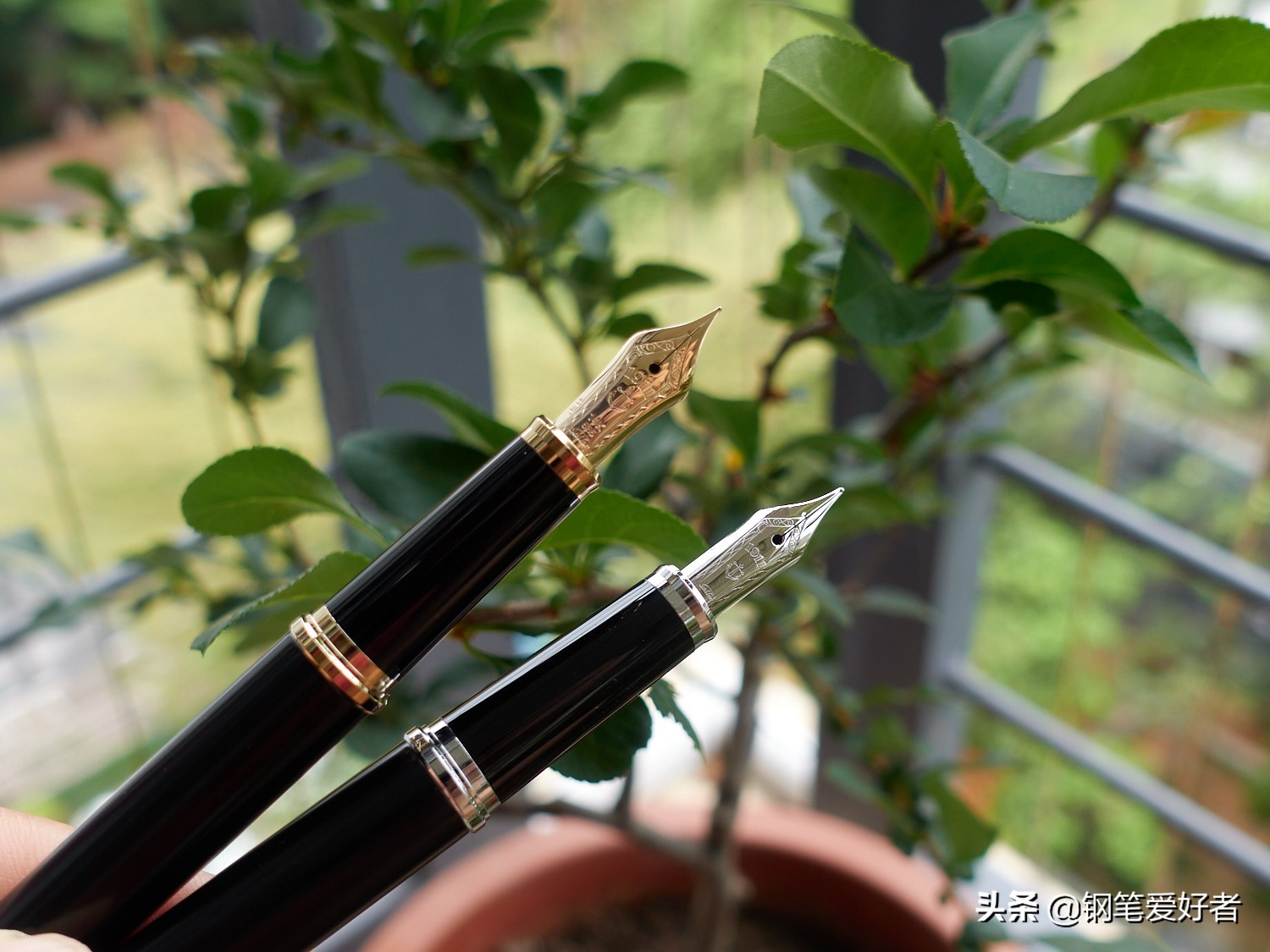 写乐钢笔14k粗细,写乐钢笔14k笔尖值多少钱