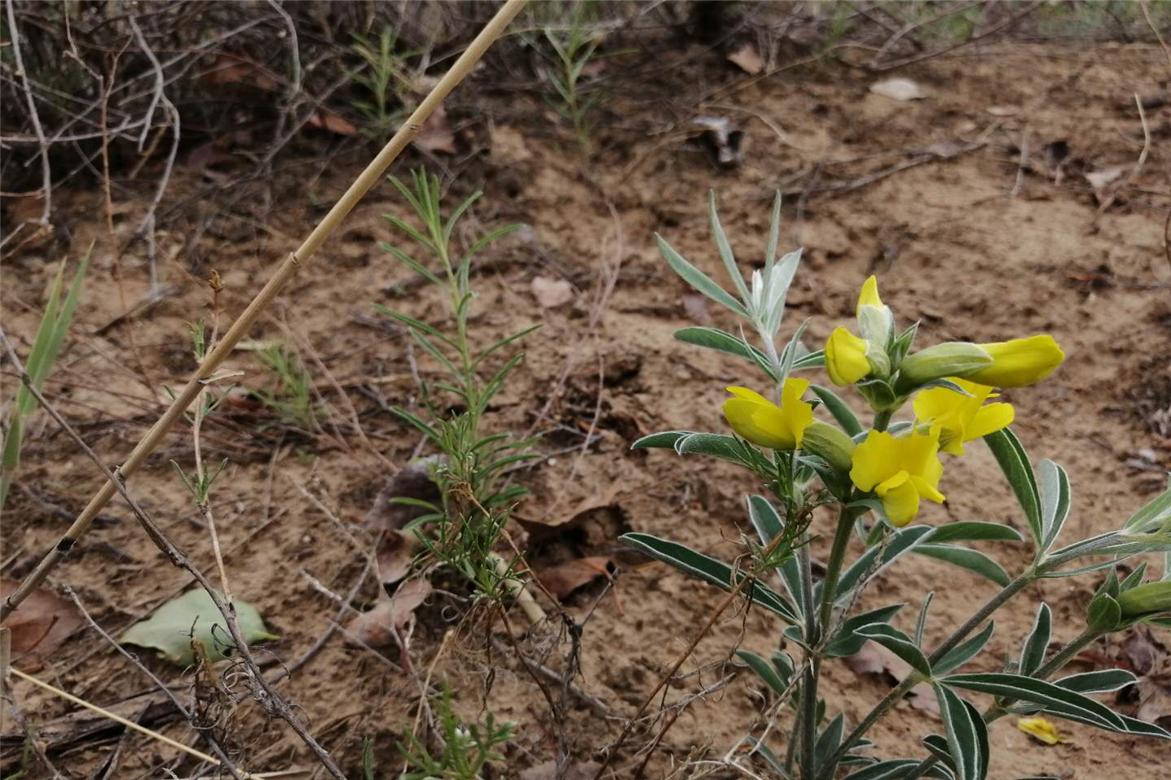 哆啦a梦大雄跟小哆啦抢年糕吃,朵拉与大雄全集免费观看完整版