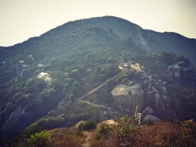 上海去桃花岛的自驾轮渡时间表,上海开车去舟山桃花岛怎么去