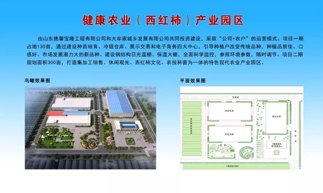 聚焦新旧动能转换聚焦乡村振兴,聚焦枣庄新旧动能转换项目推进会