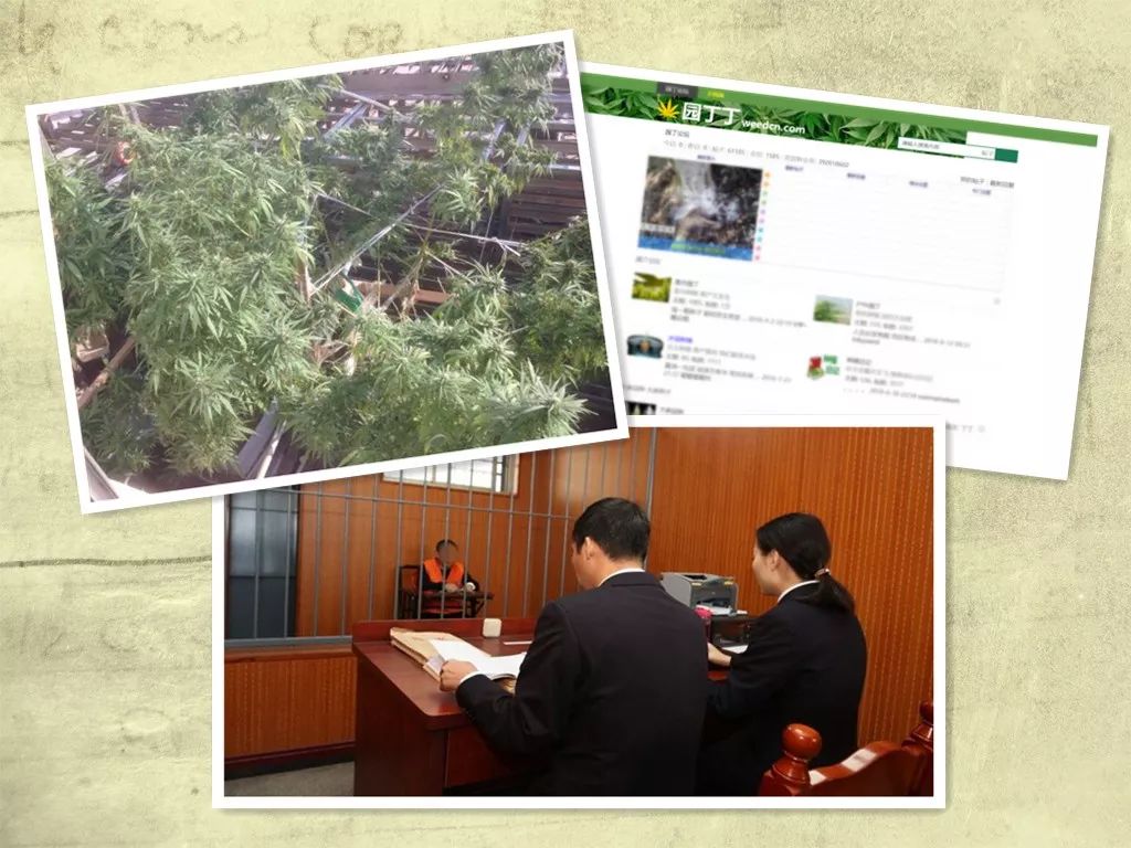*麻大**“圈内”最火论坛被查封20人获刑部分为留学生企业主