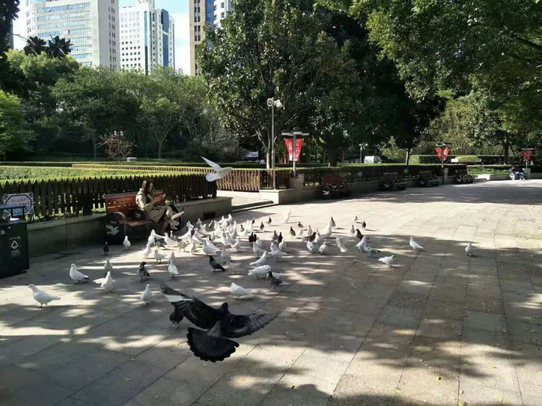 那些不买房的人都怎么样了,年轻人不买房钱应该投资到哪里