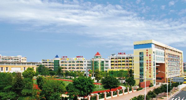 东莞公办好学校,东莞最好的复学学校