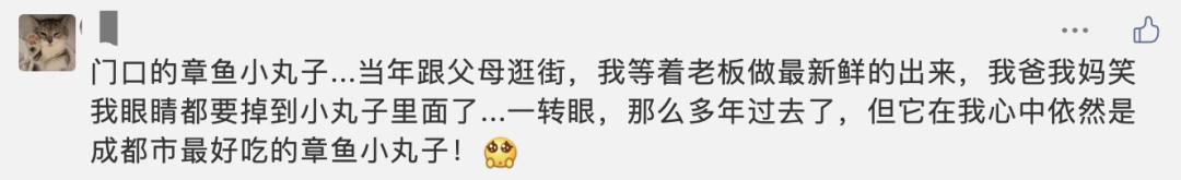 成都再也找不到那家章鱼小丸子了