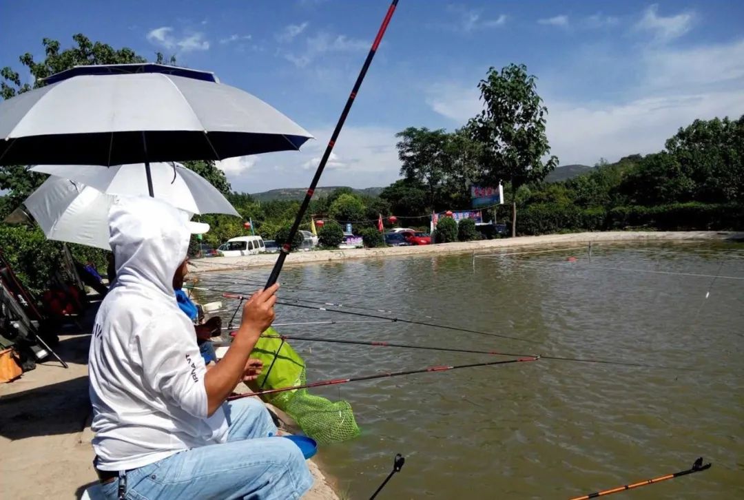 有鱼钓不到鱼怎么回事,鱼钓不上鱼的原因