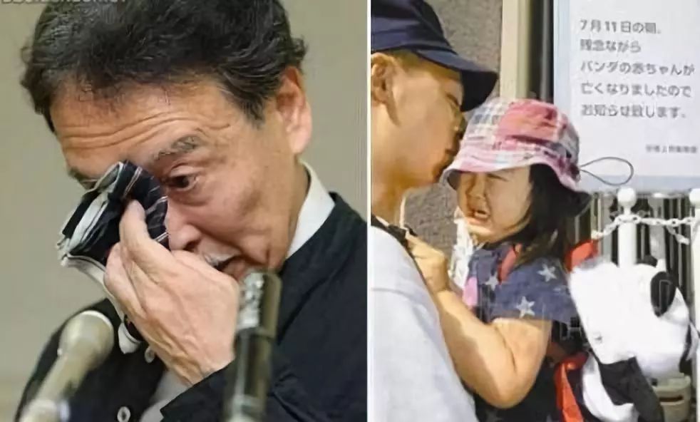 为什么全世界都喜欢大熊猫,世界各地的人们都爱好大熊猫英语