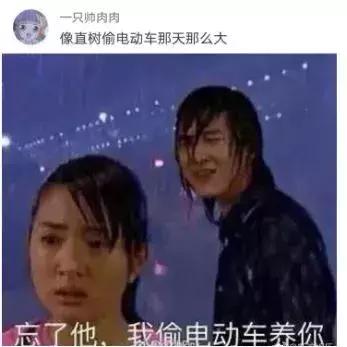 猫咪不吃饭无精打采一直趴在地上,猫咪每天都无精打采不吃喝怎么办