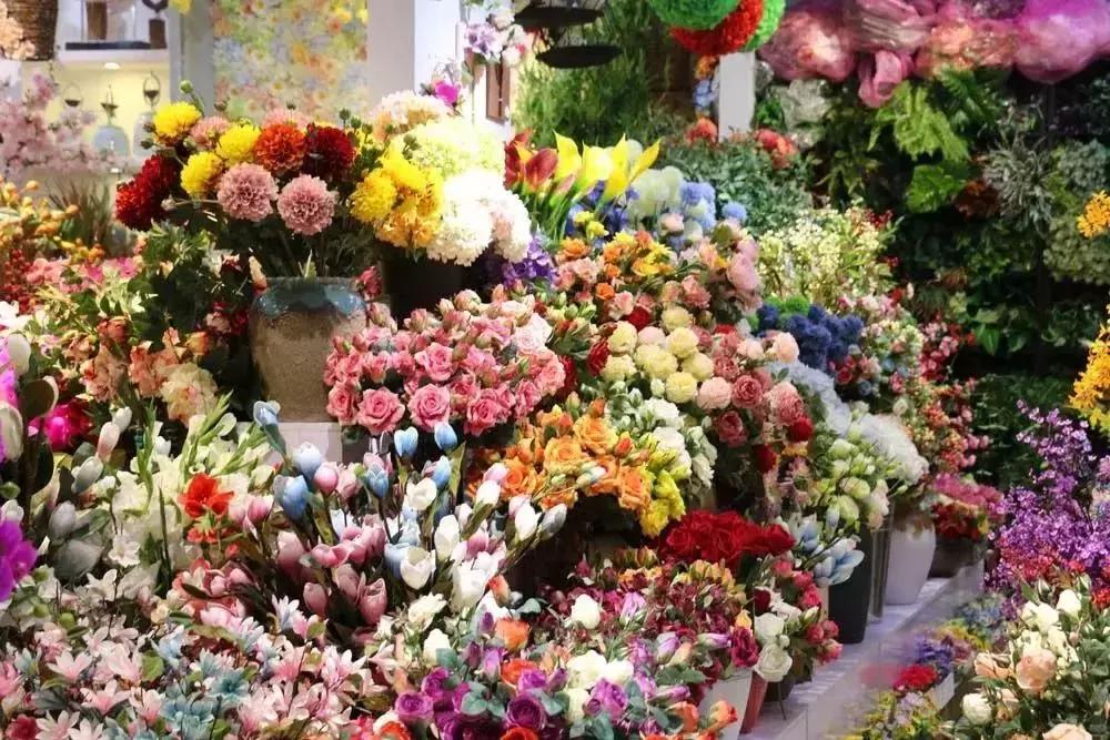 郑州三大花卉市场都是哪个,郑州哪个花卉市场最全