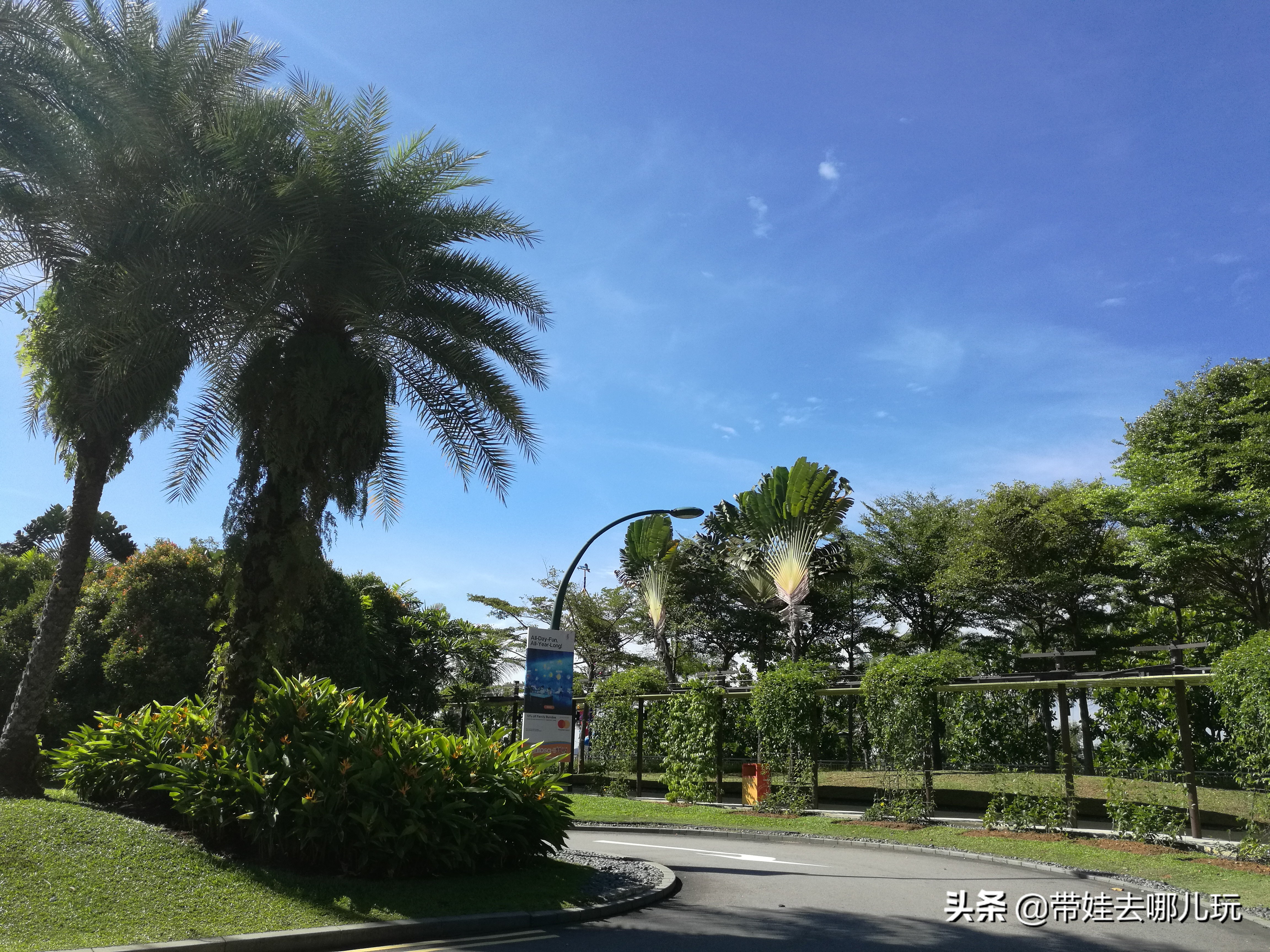 新加坡圣淘沙岛游视频,环球影城圣淘沙海洋馆