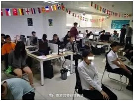 净网2019真的很好吗,净网2019网络投资靠谱吗