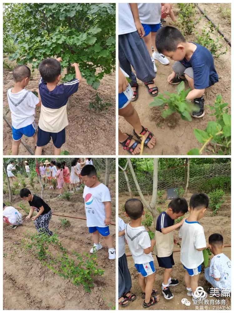 邯郸复兴区第一幼儿园环境,邯郸复兴区第一幼儿园是公立的吗