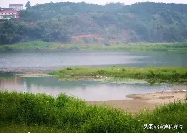 2块钱坐一次轮船,2块钱轮渡游览千亿夜景